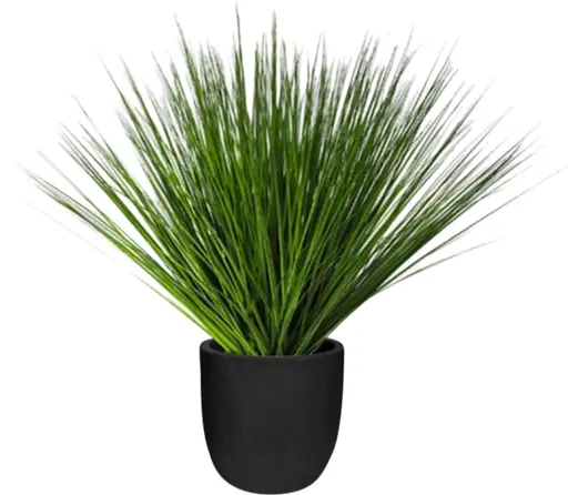 Plante Herbier artificielle - 30" H - Vert