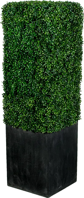photo du produit