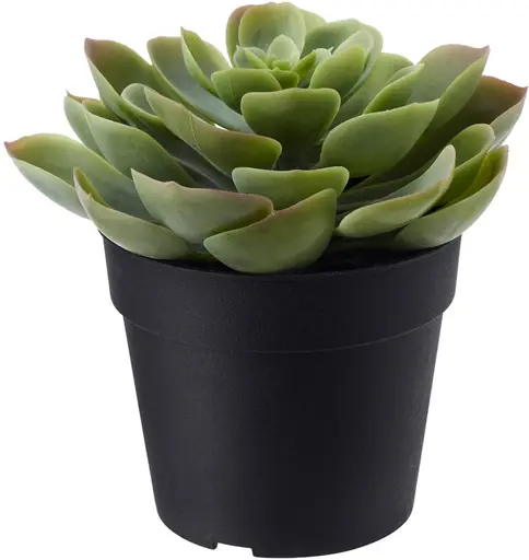 Artificial Succulent plant - 4.75'' H - Green