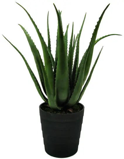 photo du produit