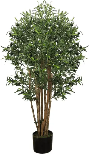Plante Olivier artificielle - 52" H - Vert