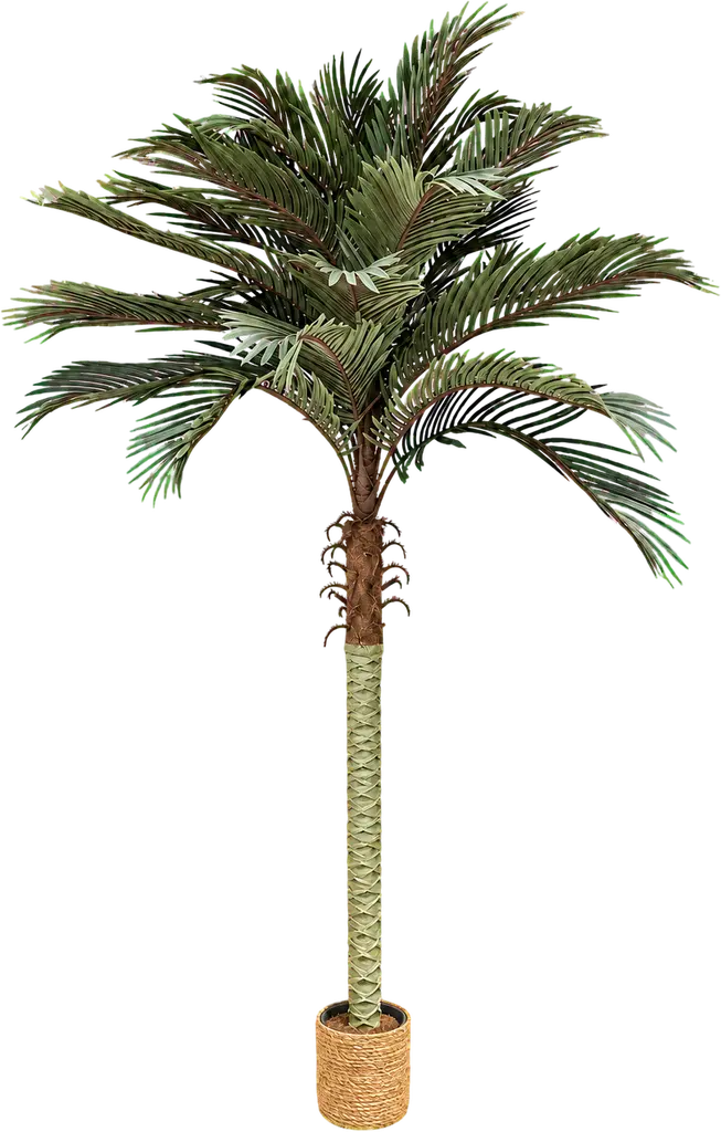 photo du produit