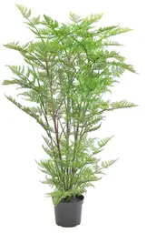Plante fougère Australienne artificielle - 50" H - Vert