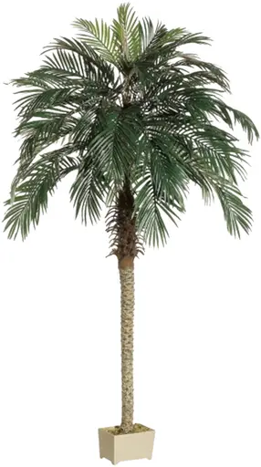Palmier - 7' H - Vert