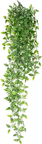 Zebrina plant stem - 35" H - Green