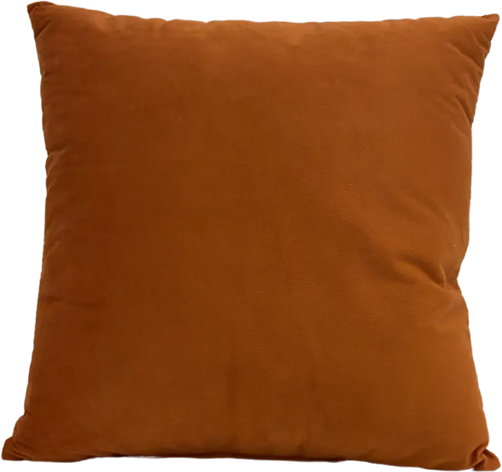 photo du produit