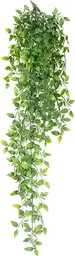 Plante Zebrina Tige - 35" H - Vert