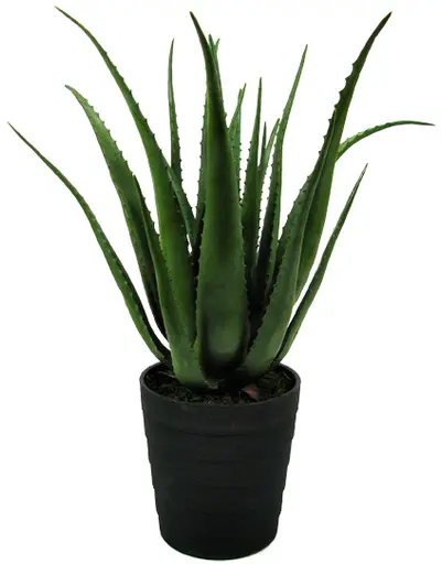 Plante Aloes artificielle - 27.5" H - Vert