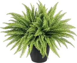 Plante Fougère artificielle - 21" H - Vert