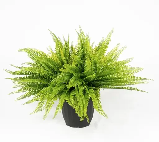 Plante Fougère artificielle - 21" H - Vert