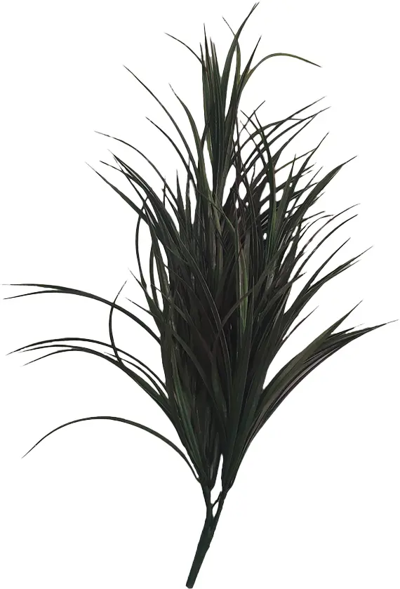 photo du produit