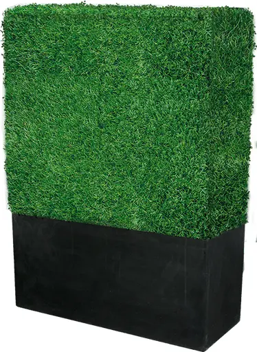 Boxwood - Rectangulaire - Gazon & Noir