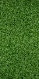 Wall - 4' L x 8' H - Green grass