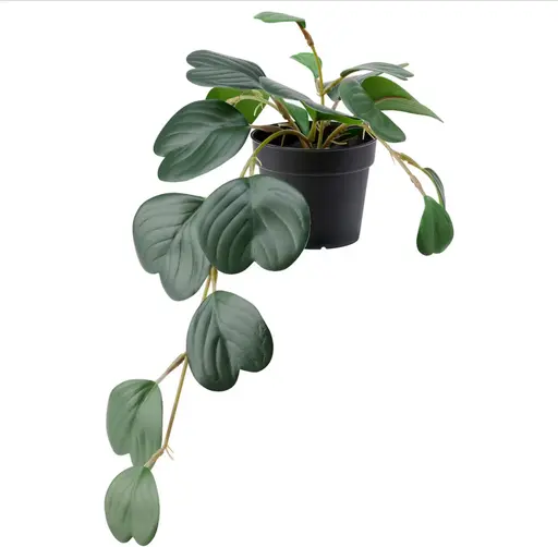 Plante Ceropegia artificielle - 15.75" H - Vert