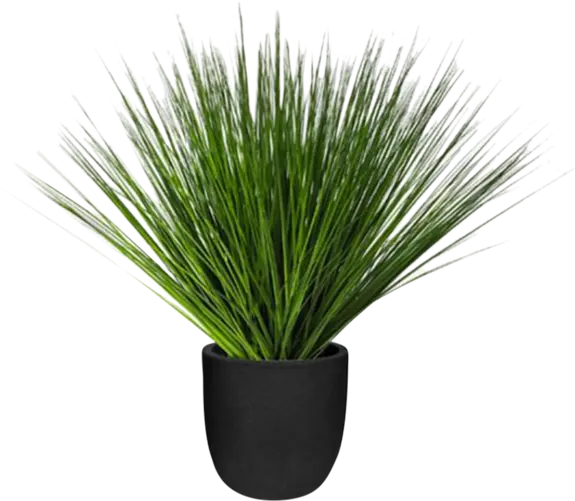 photo du produit