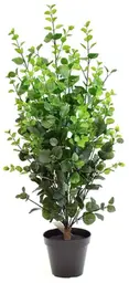 Plante Eucalyptus artificielle - 36" H - Vert