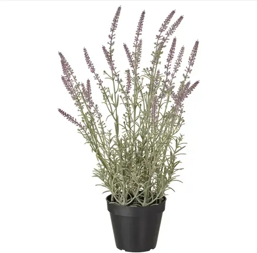 Plante Lavande artificielle - 19" H - Vert