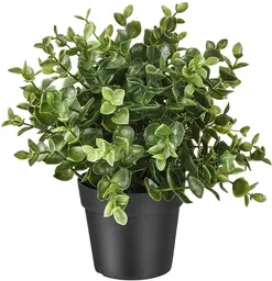 Artificial oregano plant - 8.75'' H - Green