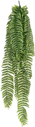 Fern plant stem - 37" H - Green