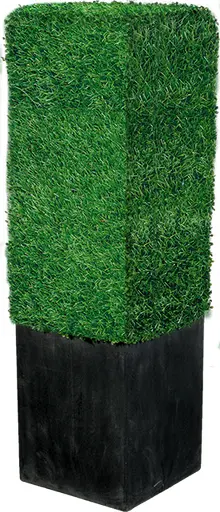 Boxwood - Carré - Gazon & Noir