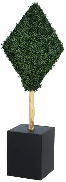 photo du produit