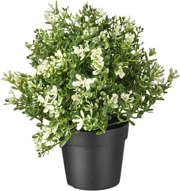photo du produit