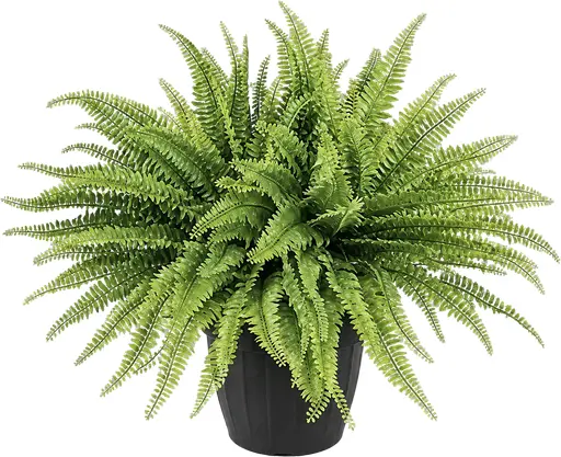Artificial Fern plant - 21'' H - Green