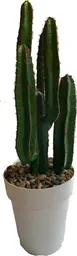 Artificial Cactus plant - 42" H - Green & White