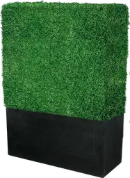 Boxwood - Rectangulaire - Gazon & Noir