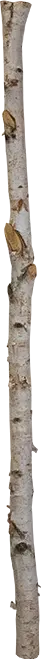 photo du produit