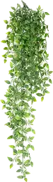 Zebrina plant stem - 35" H - Green