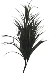 Plante Dragonnier Tige - 27" H - Vert