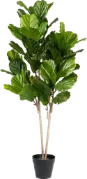 Artificial Fiddle Leaf Fig plant - 58" H - Green