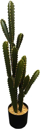 Plante Cactus artificielle - 42" H - Vert & Noir