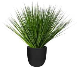 Plante Herbier artificielle - 30" H - Vert