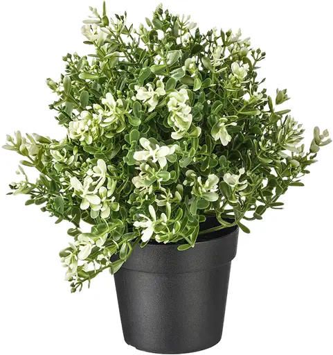 Artificial Thyme plant - 8.75'' H - Green