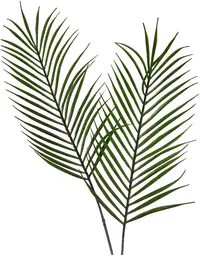 Tropical leaf - Green
