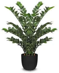Plante Zamioculcas artificielle - 43" H - Vert