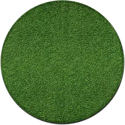 Gazon tapis - 9,5' D - DFR