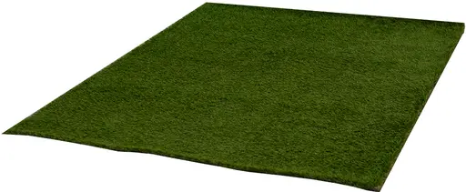 Grass carpet - 10' L x 10' W - DFR