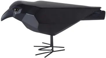 photo du produit