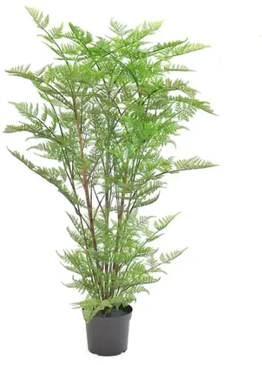 Artificial Australian fern tree plant - 50" H - Green
