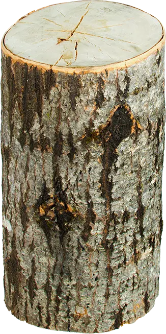 photo du produit