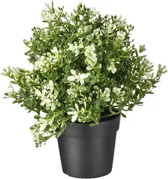 Artificial Thyme plant - 8.75'' H - Green