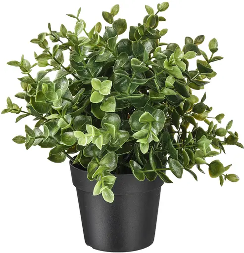 Artificial oregano plant - 8.75'' H - Green