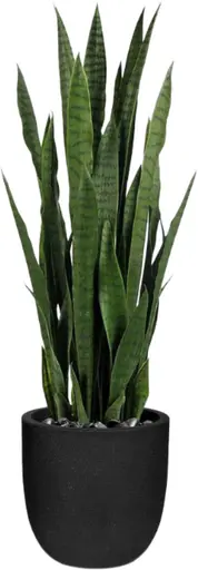 Plante Sanseveria artificielle - 35" H - Vert