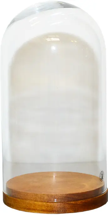 photo du produit