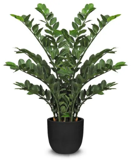 Plante Zamioculcas artificielle - 43" H - Vert