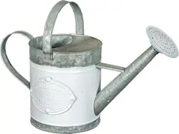 Rustic watering can metal