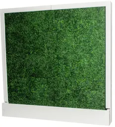 Wall - 8' L x 8' H - Wooden white frame - Boxwood